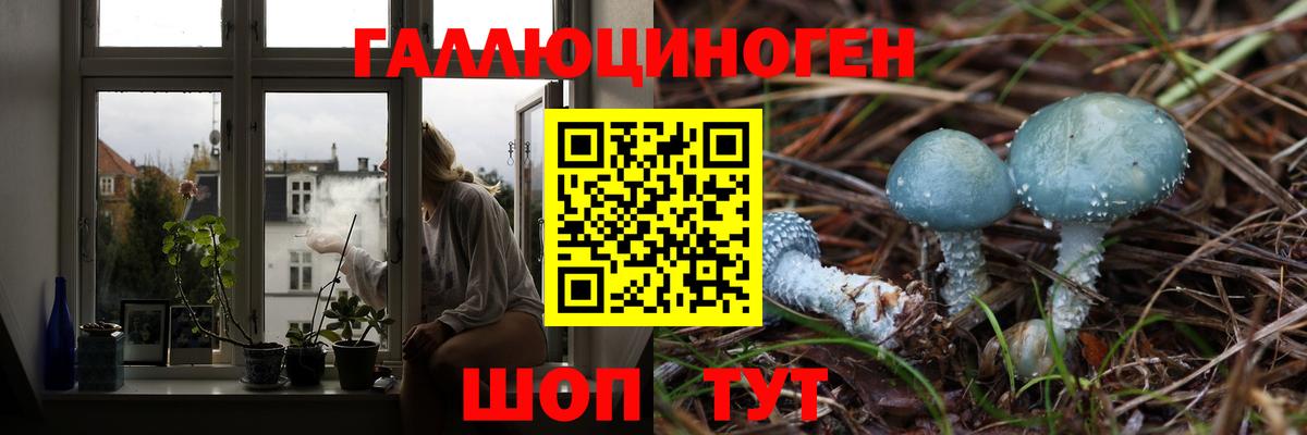 Можайск  Галлюциногенные грибы Magic Shrooms  Вход с VPN  Псилоцибиновые грибы мухоморы 