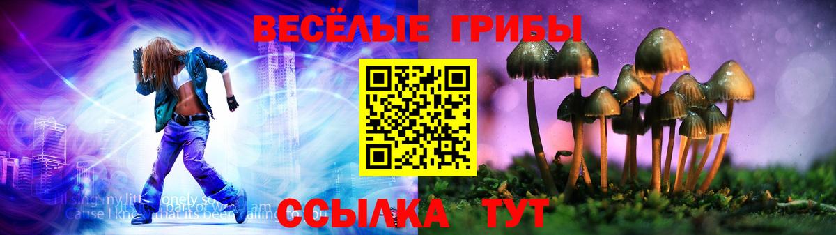 Галлюциногенные грибы Magic Shrooms Можайск